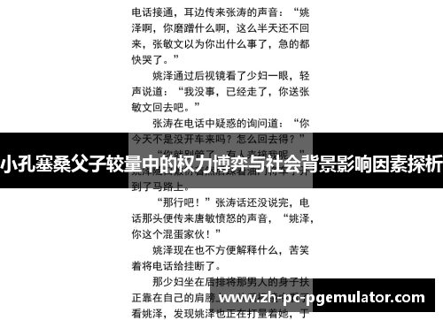 小孔塞桑父子较量中的权力博弈与社会背景影响因素探析