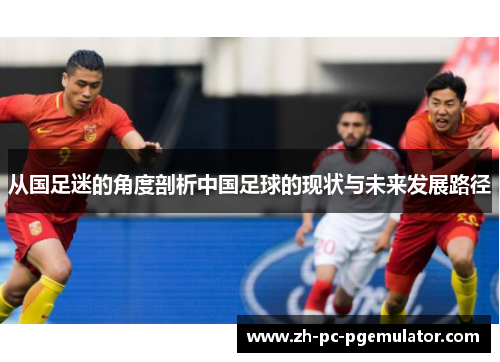 从国足迷的角度剖析中国足球的现状与未来发展路径