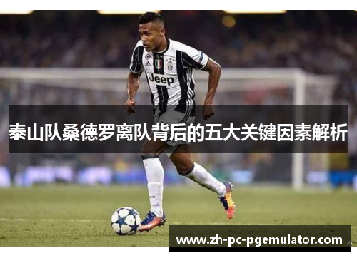 泰山队桑德罗离队背后的五大关键因素解析