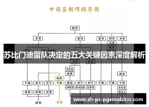 苏比门迪留队决定的五大关键因素深度解析