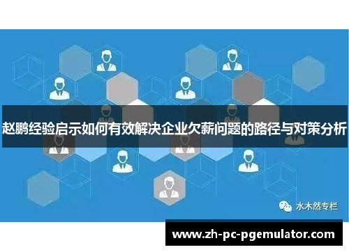 赵鹏经验启示如何有效解决企业欠薪问题的路径与对策分析