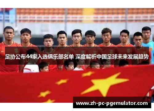 足协公布44家入选俱乐部名单 深度解析中国足球未来发展趋势