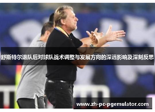 舒斯特尔退队后对球队战术调整与发展方向的深远影响及深刻反思