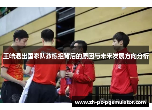 王皓退出国家队教练组背后的原因与未来发展方向分析